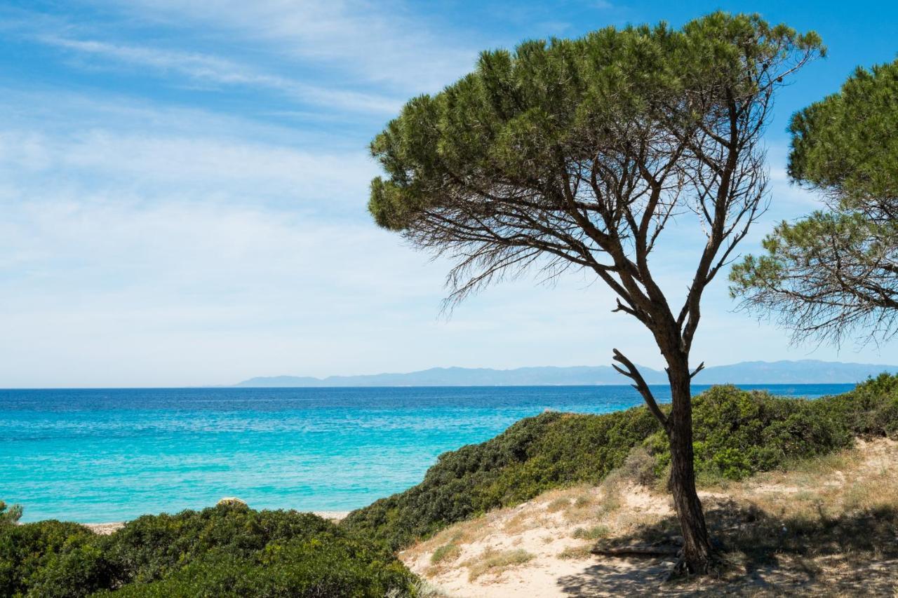 Appartamento Con Vista Mare A Terramala Terra Mala Exteriör bild